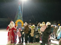 Новый год, чудесная пора! 