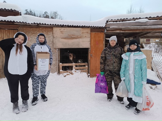 Подарок пушистому другу