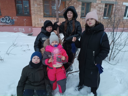 Птичья столовая